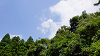 camp28 (489)_thumb.png